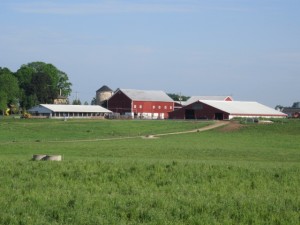 View of Saxon Homestead Farm