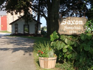 Saxon Homestead Farm entrance