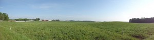 panorama of Saxon Homestead Farm